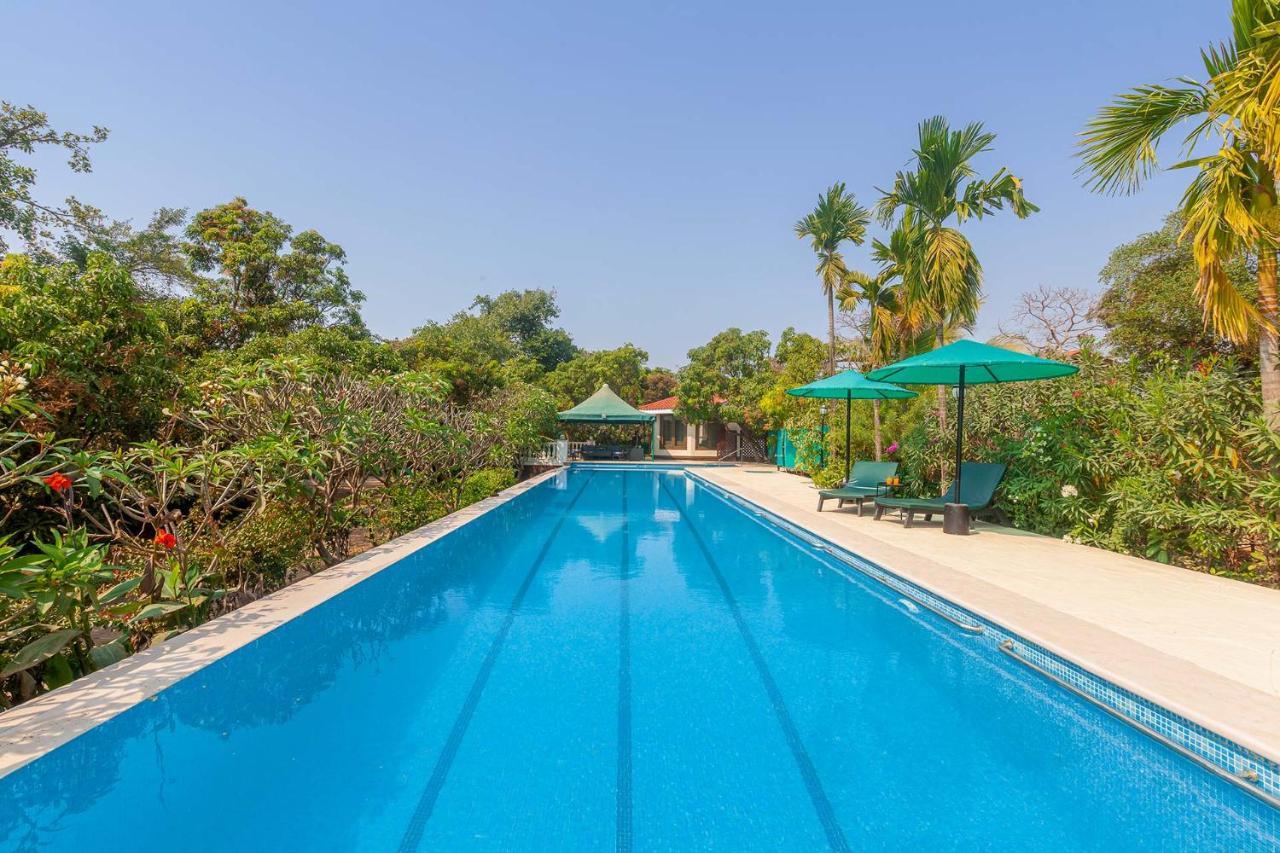 Stayvista'S Casa Palmera - Pet-Friendly Villa With Pool, Garden With Gazebo, And Indoor & Outdoor Games Alībāg Exterior foto