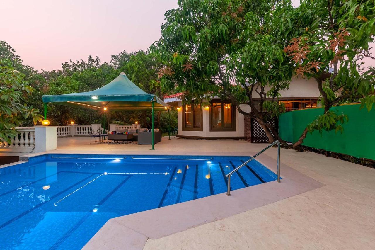 Stayvista'S Casa Palmera - Pet-Friendly Villa With Pool, Garden With Gazebo, And Indoor & Outdoor Games Alībāg Exterior foto